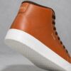8d36120b-2cf0-481a-9e26-cad307099b0f